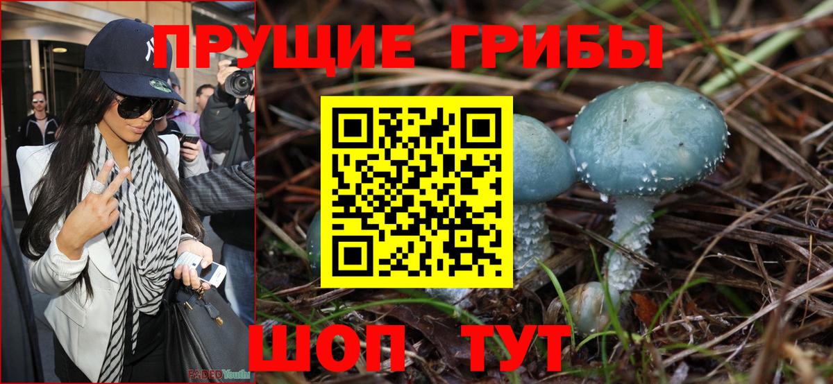 Галлюциногенные грибы Psilocybe Сланцы